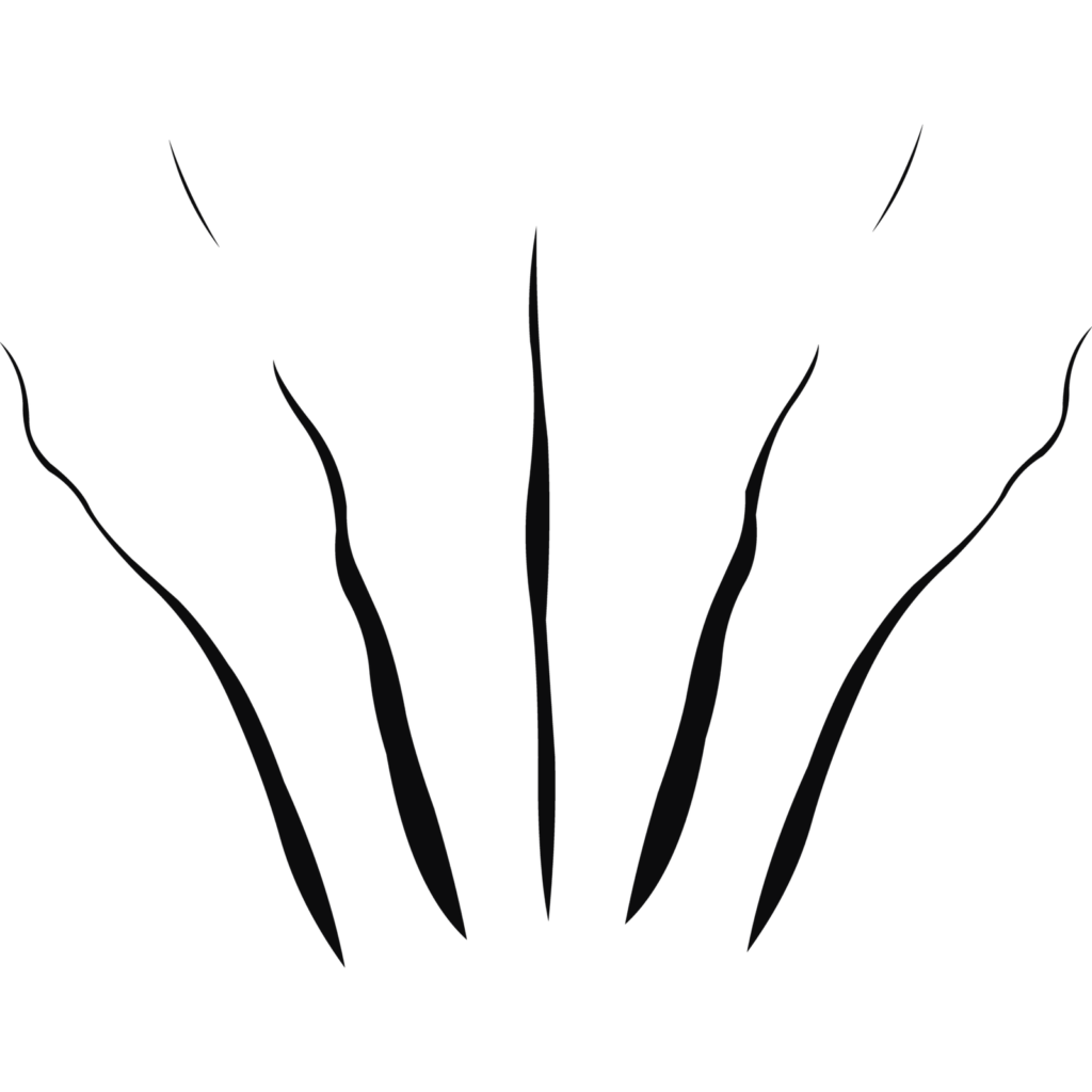 Meditar com o símbolo